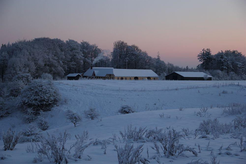 Munkebjerg Bed & Breakfast Børkop Dış mekan fotoğraf