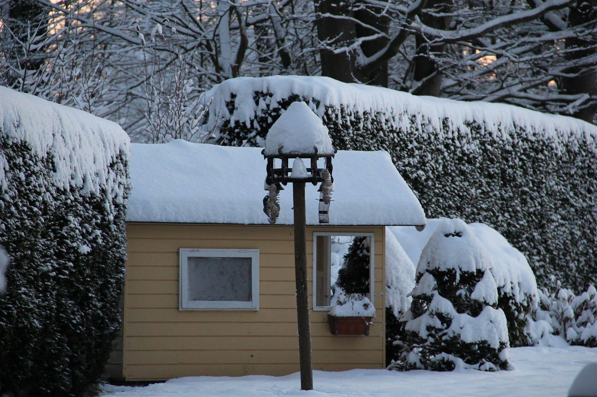 Munkebjerg Bed & Breakfast Børkop Dış mekan fotoğraf