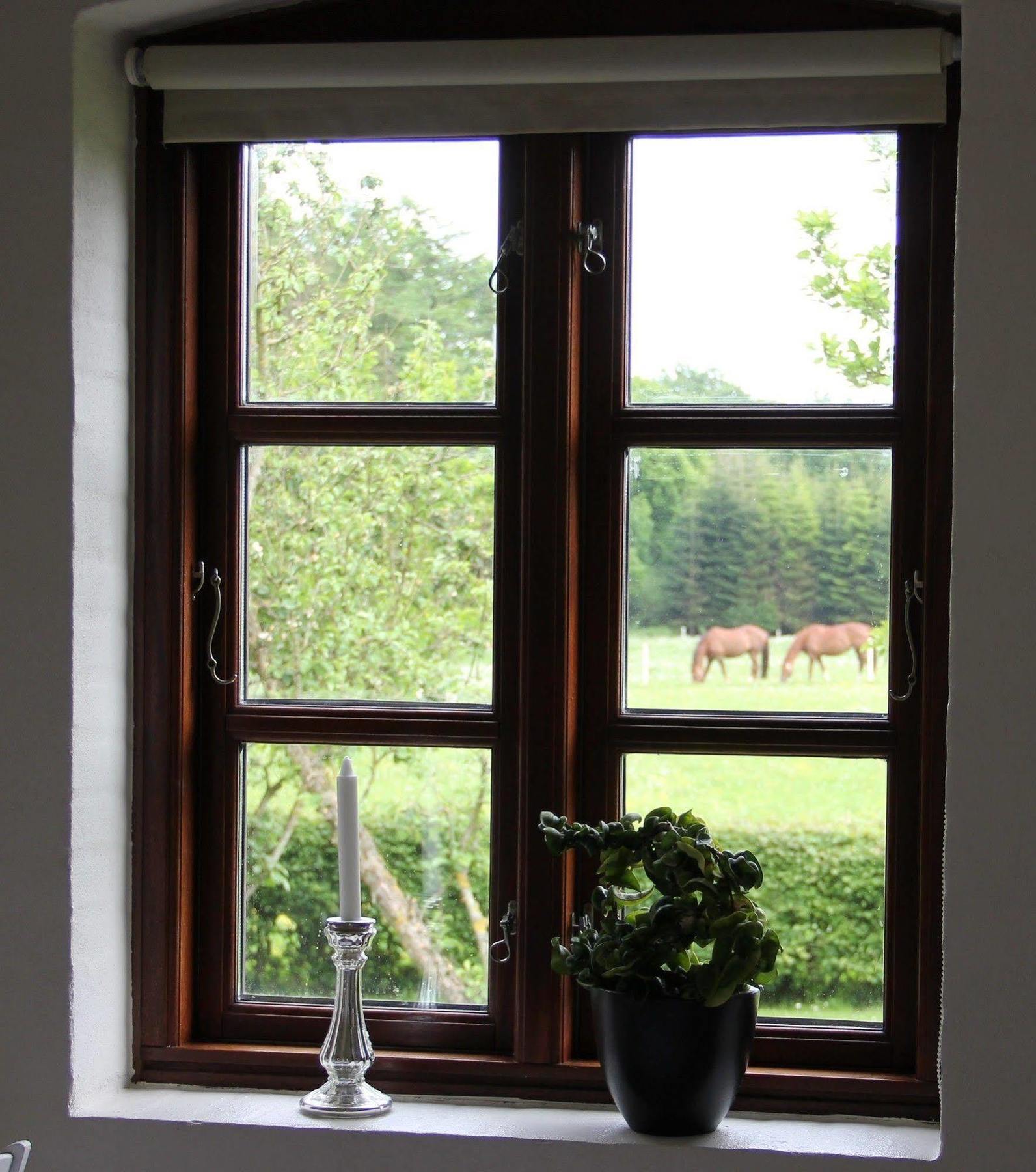 Munkebjerg Bed & Breakfast Børkop Dış mekan fotoğraf